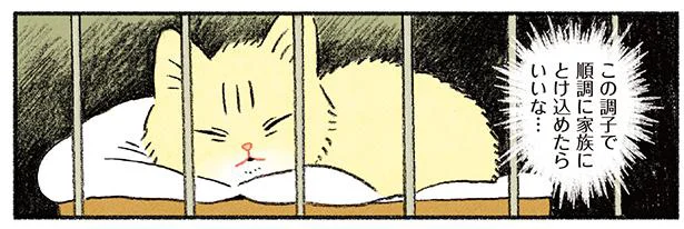 対面は無事終了!なんとかやっていけそう…?