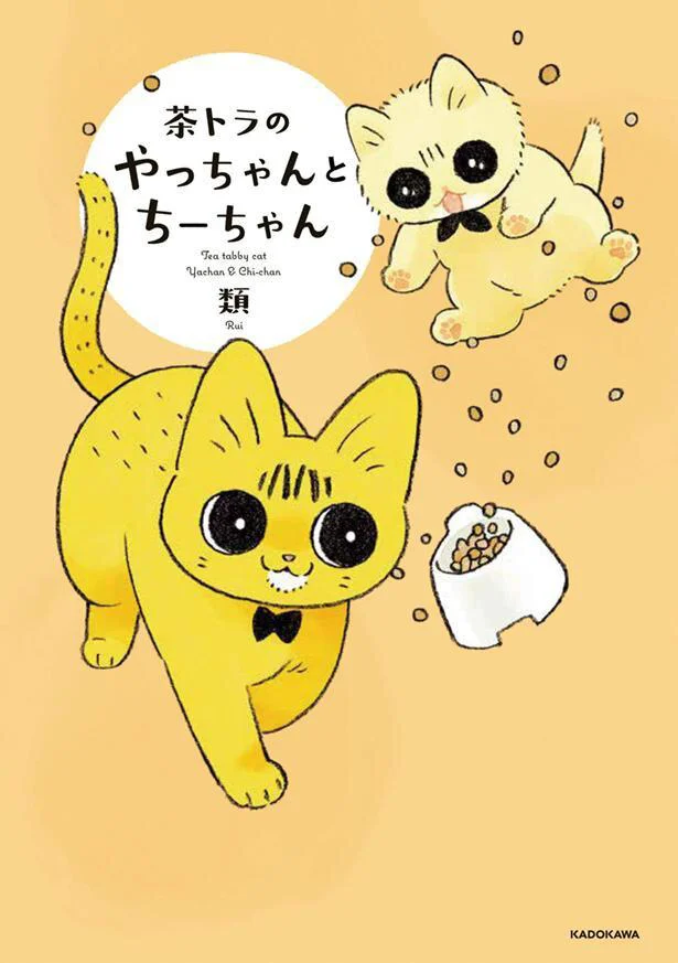 猫と暮らす戸惑いと幸せが詰まった一冊『茶トラのやっちゃんとちーちゃん』