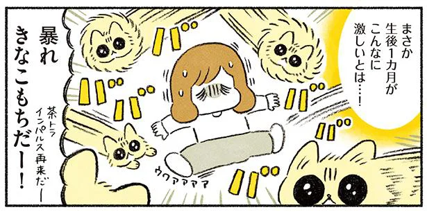 あまりにも激しすぎる生後1ヶ月／茶トラのやっちゃんとちーちゃん（10）