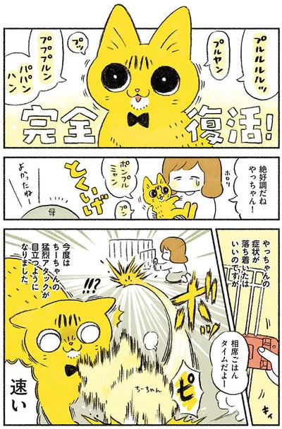 【画像を見る】茶トラのやっちゃんとちーちゃん