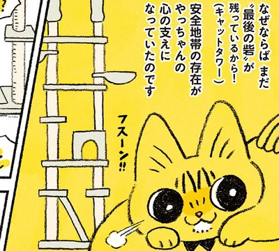 ストレスから解放させる最後の砦・キャットタワー！