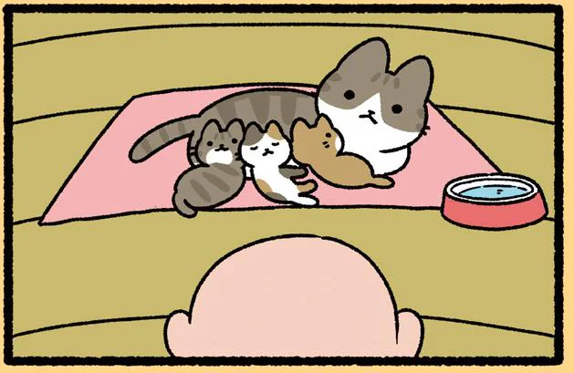 真ん中も渡れない!