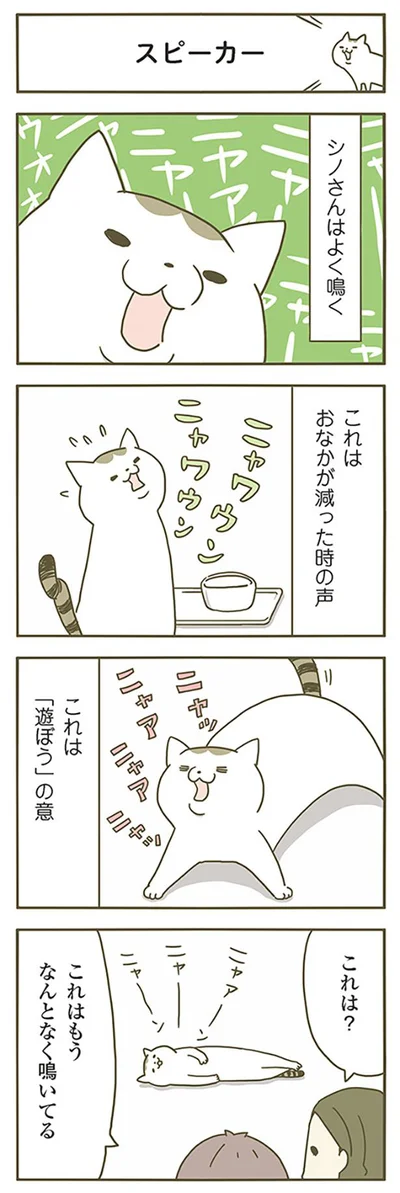 【画像を見る】うちの猫がまた変なことしてる。