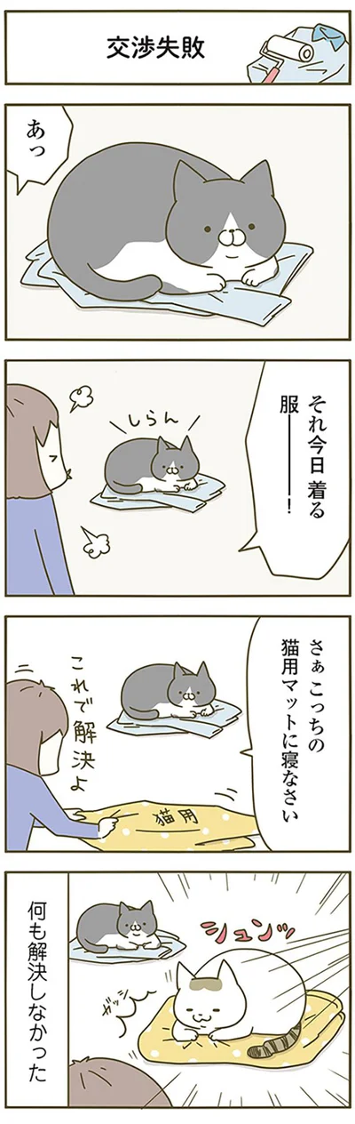 【画像を見る】うちの猫がまた変なことしてる。