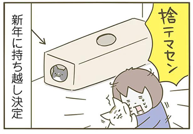猫たちのお気に入りの場所 うちの猫がまた変なことしてる 6 レタスクラブ