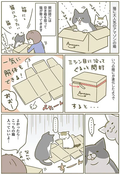 【画像を見る】うちの猫がまた変なことしてる。