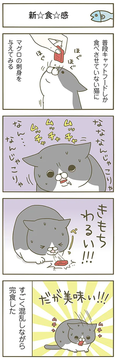 【画像を見る】うちの猫がまた変なことしてる。