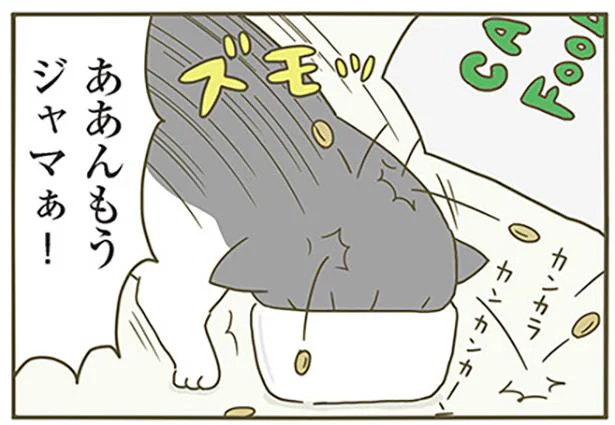 ごはんを待ちきれないの！／うちの猫がまた変なことしてる。（8）