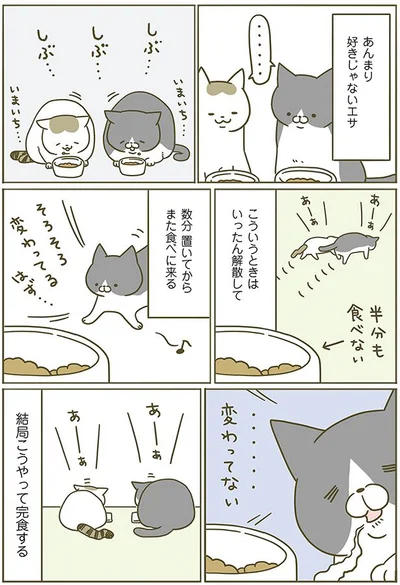 【画像を見る】うちの猫がまた変なことしてる。