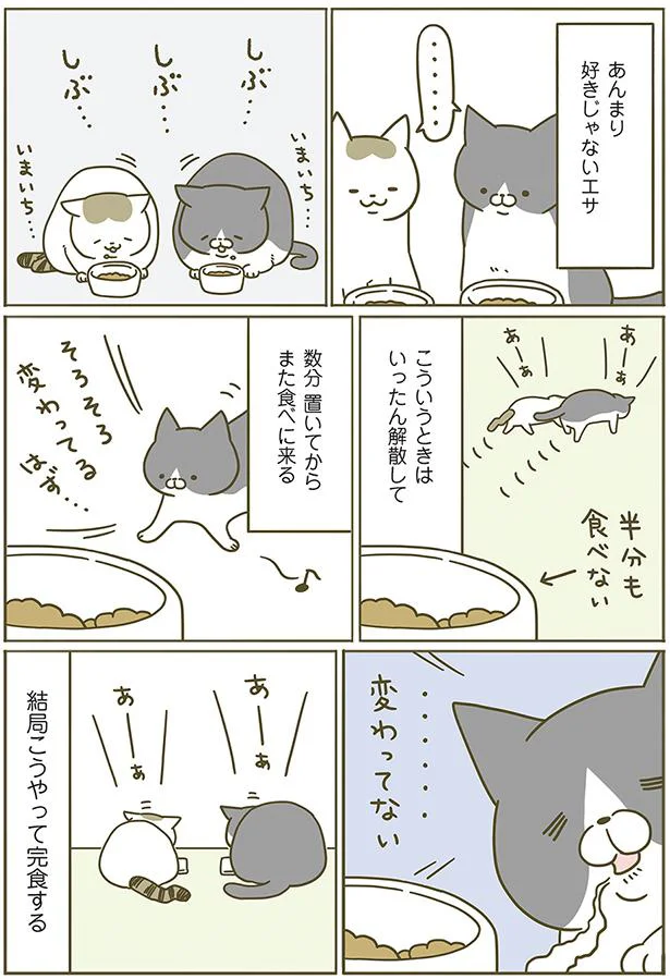 【画像を見る】うちの猫がまた変なことしてる。