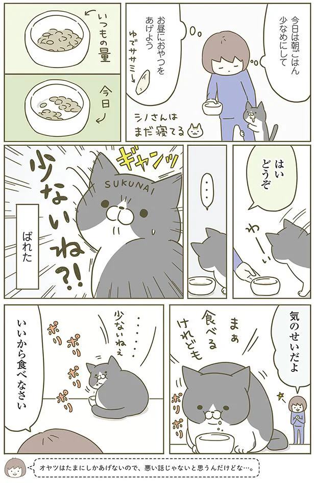 ごはんを待ちきれないの！／うちの猫がまた変なことしてる。（8