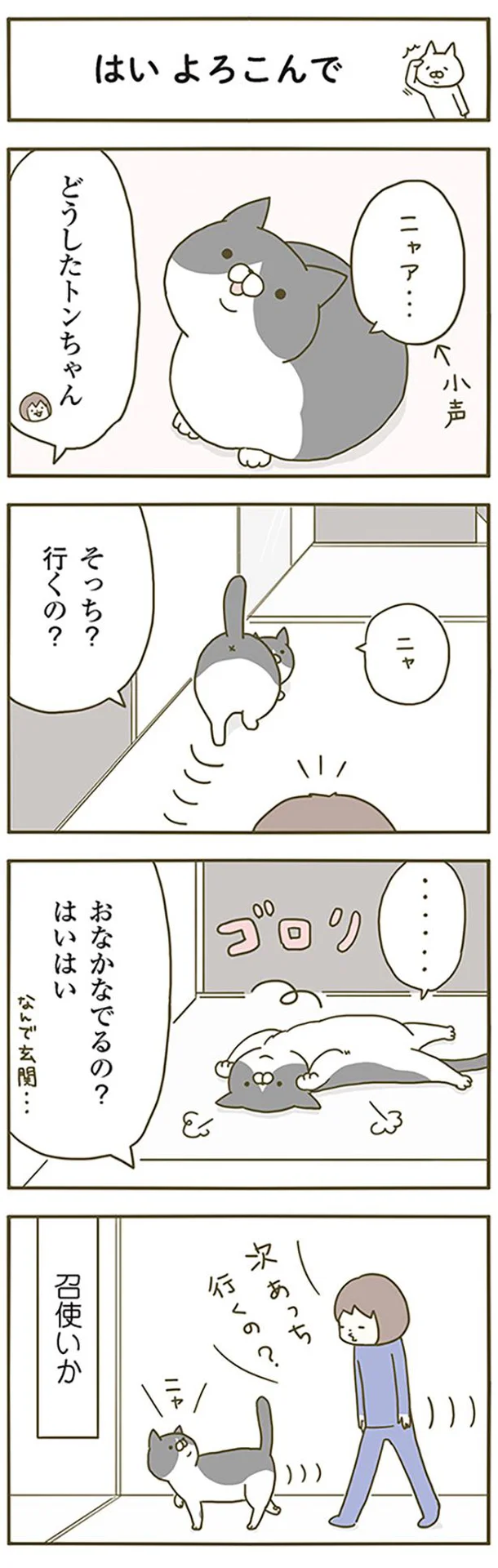 玄関で撫でられたいんです/うちの猫がまた変なことしてる。(10 玄関で撫でられたいんです/うちの猫がまた変なことしてる。(10