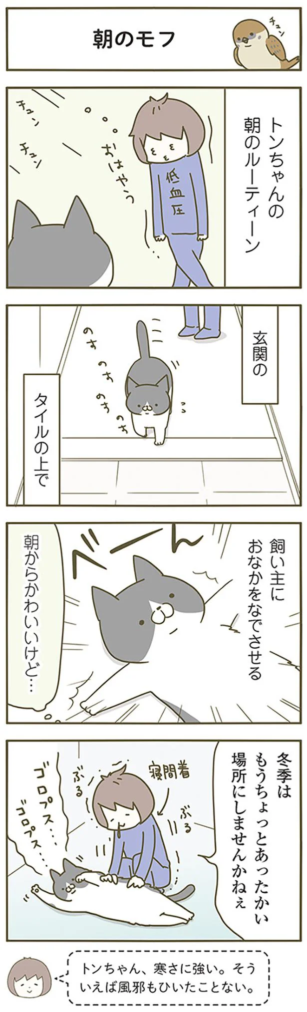 玄関で撫でられたいんです うちの猫がまた変なことしてる 10 画像6 8 レタスクラブ