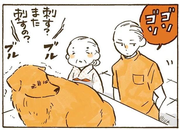 なんだ、先生いいやつじゃん！　姫ばあちゃんとナイト(15)