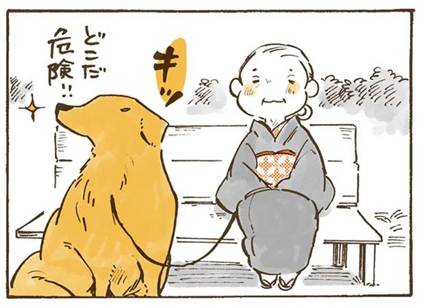姫ばあちゃんを支えるナイトの役目　姫ばあちゃんとナイト(17)