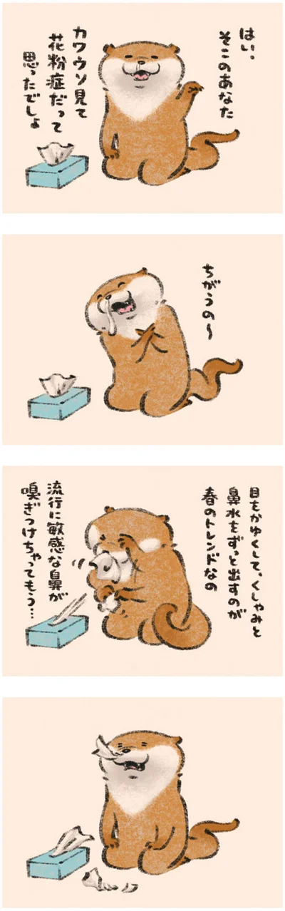 【画像を見る】可愛い嘘のカワウソ