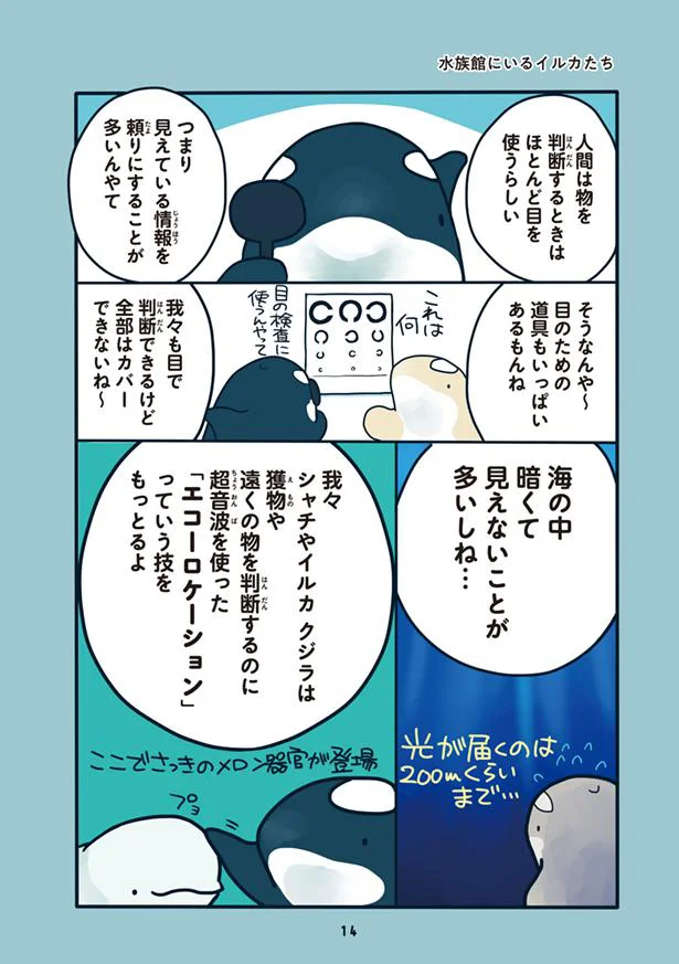 水族館のイルカってどんなイメージ 水族館が好きすぎて 1 画像8 10 レタスクラブ 水族館のイルカってどんなイメージ 水族館が好きすぎて 1 画像8 10 レタスクラブ