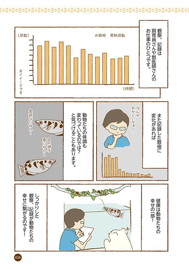 百発百中 テッポウウオの捕食 動物園のヒミツ教えます 4 レタスクラブ 百発百中 テッポウウオの捕食 動物園のヒミツ教えます 4 レタスクラブ