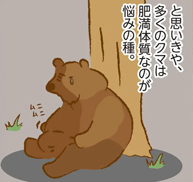 クマらしい暮らしが出来る環境作りを！