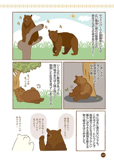 【画像を見る】クマが肥満で悩んでます　動物園のヒミツ教えます