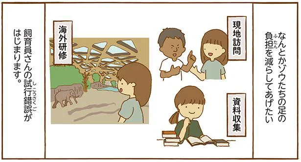 足の病気は命取り!コンクリート上で生活してるゾウの足の負担を軽減させたい