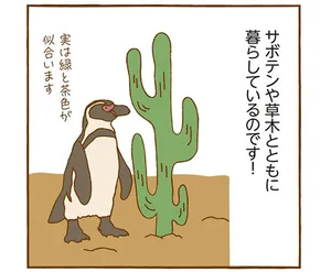 サボテンと暮らすフンボルトペンギン／動物園のヒミツ教えます（7）