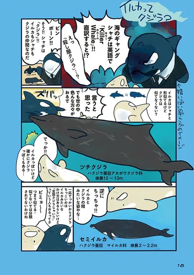 【画像を見る】海のどうぶつが可愛すぎて！