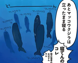 立ったまま寝るクジラがいる!?／海のどうぶつが可愛すぎて！（3）