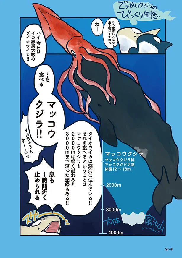 【画像を見る】海のどうぶつが可愛すぎて!