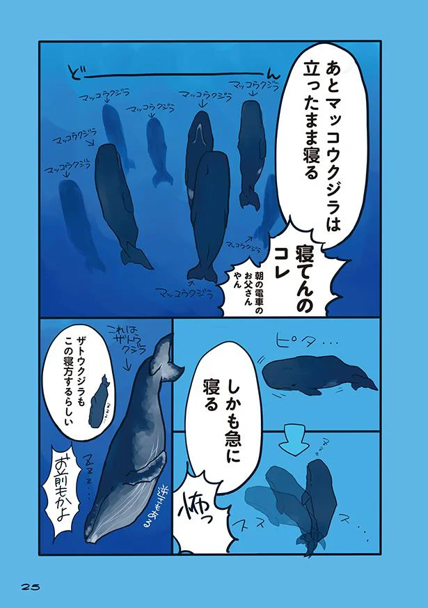 立ったまま寝るクジラがいる 海のどうぶつが可愛すぎて 3 画像3 6 レタスクラブ 立ったまま寝るクジラがいる 海のどうぶつが可愛すぎて 3 画像3 6 レタスクラブ