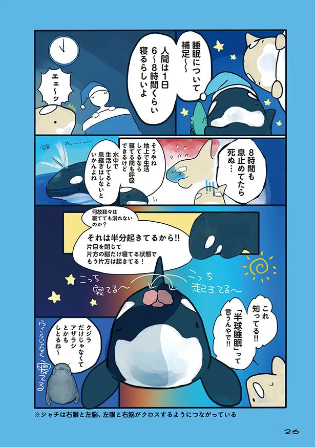 立ったまま寝るクジラがいる 海のどうぶつが可愛すぎて 3 レタスクラブ 立ったまま寝るクジラがいる 海のどうぶつが可愛すぎて 3 レタスクラブ