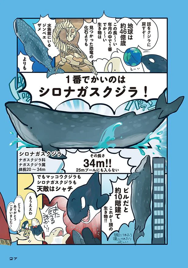 立ったまま寝るクジラがいる 海のどうぶつが可愛すぎて 3 画像5 6 レタスクラブ 立ったまま寝るクジラがいる 海のどうぶつが可愛すぎて 3 画像5 6 レタスクラブ
