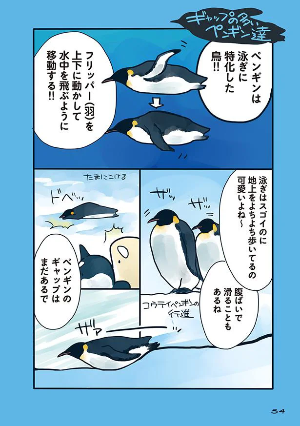 【画像を見る】海のどうぶつが可愛すぎて！