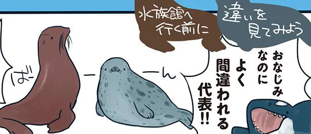 よく間違われる動物をご紹介!その見分け方は?