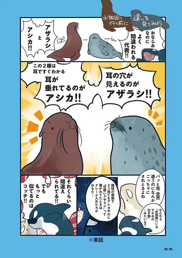 【画像を見る】海のどうぶつが可愛すぎて!