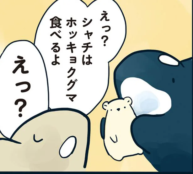 最強に見えるホッキョクグマもシャチの前では…／海のどうぶつが可愛すぎて！（6）