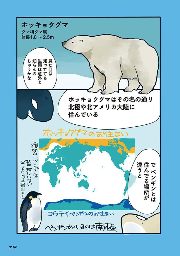 最強に見えるホッキョクグマもシャチの前では 海のどうぶつが可愛すぎて 6 レタスクラブ