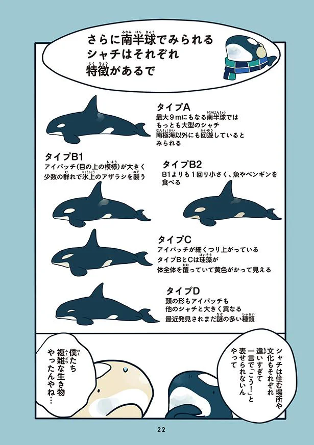 シャチは住む場所や文化で多くの違いがある 水族館が好きすぎて 2 レタスクラブ