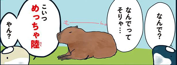 見た目は陸の動物のカピパラが水族館にいるのはなぜ?