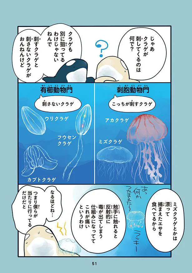 クラゲはタコ イカ 実はマンボウと一緒 水族館が好きすぎて 4 画像5 8 レタスクラブ クラゲはタコ イカ 実はマンボウと一緒 水族館が好きすぎて 4 画像5 8 レタスクラブ