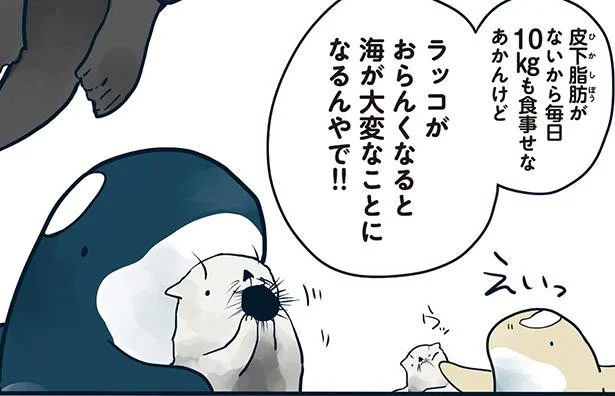 ラッコがいないと海が大変なことになってしまう!?／水族館が好きすぎて！（7）