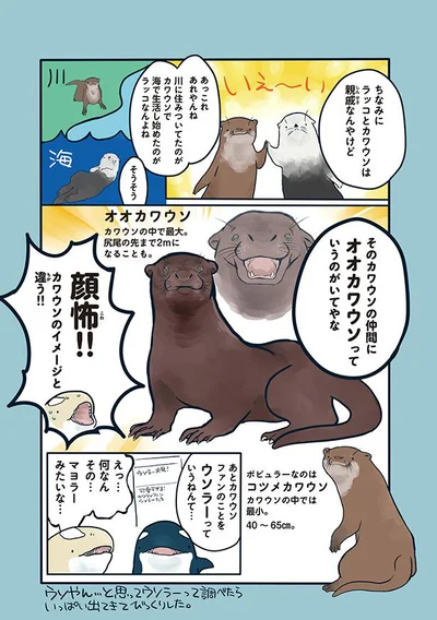 オオカワウソ 2m