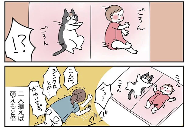 『三毛猫ふうちゃんは子守猫』発売記念 おたべさんインタビュー