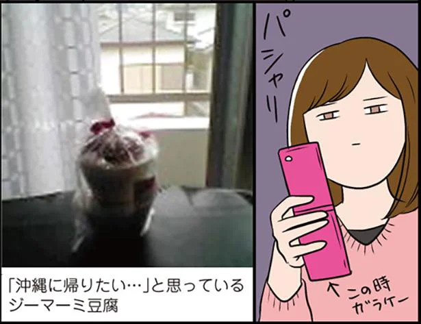 「沖縄に帰りたい」ジーマーミ豆腐を擬人化してみた／ひとりぐらしもプロの域。（3）