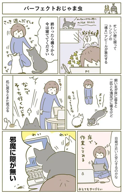 【画像を見る】パーフェクトおじゃま虫