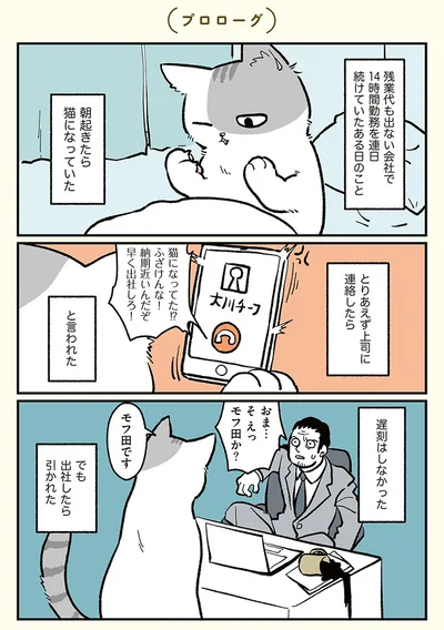 【画像を見る】『ブラック企業の社員が猫になって人生が変わった話（モフ田くんの場合） 』