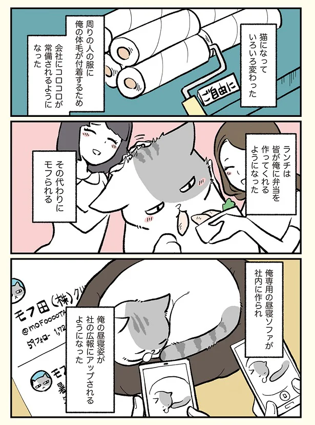 猫になっていろいろ変わった