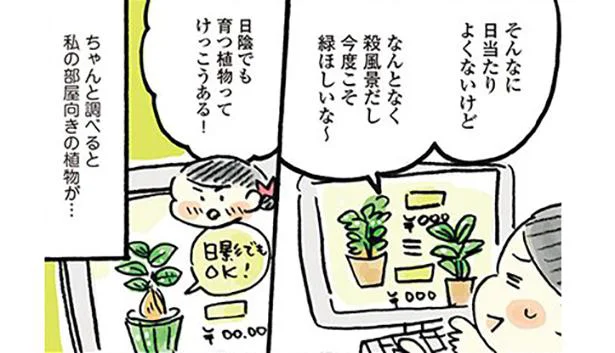 部屋の環境に合った植物を選ぼう