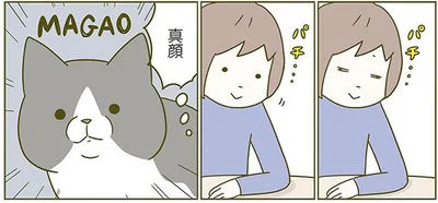 目が合ったので愛情を伝えたい飼い主と真顔の猫 うちの猫がまた変なことしてる 2 2 画像1 5 レタスクラブ
