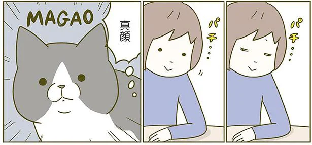 目が合ったので愛情を伝えたい飼い主と真顔の猫 うちの猫がまた変なことしてる 2 2 画像1 5 レタスクラブ 目が合ったので愛情を伝えたい飼い主と真顔の猫 うちの猫がまた変なことしてる 2 2 画像1 5 レタスクラブ